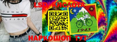 spice Кунгур