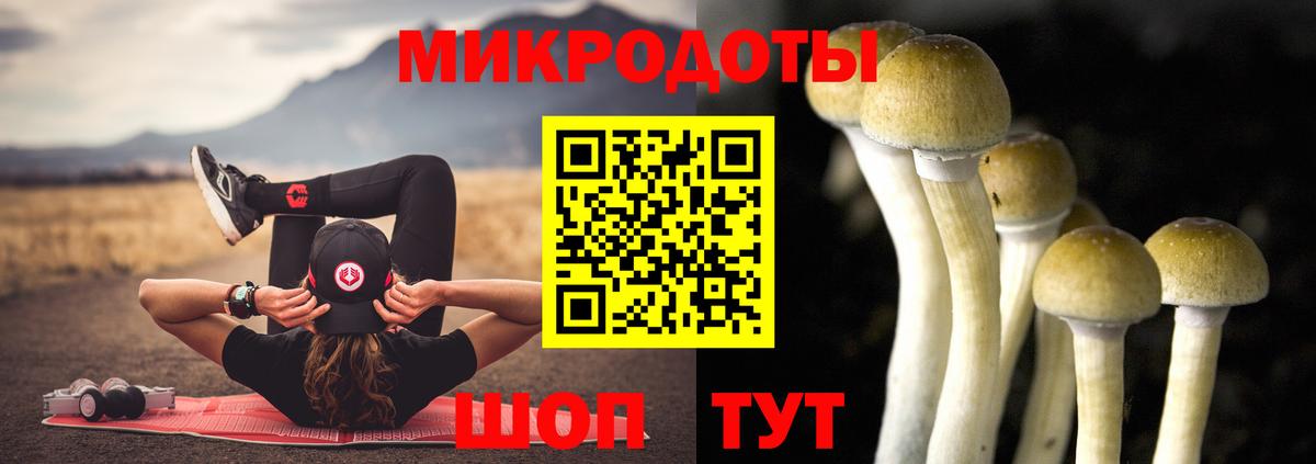 Галлюциногенные грибы GOLDEN TEACHER Коркино